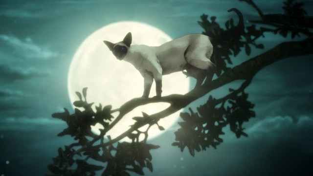 Click to watch 'Dream of a Thousand Cats...' (popup) The Sandman